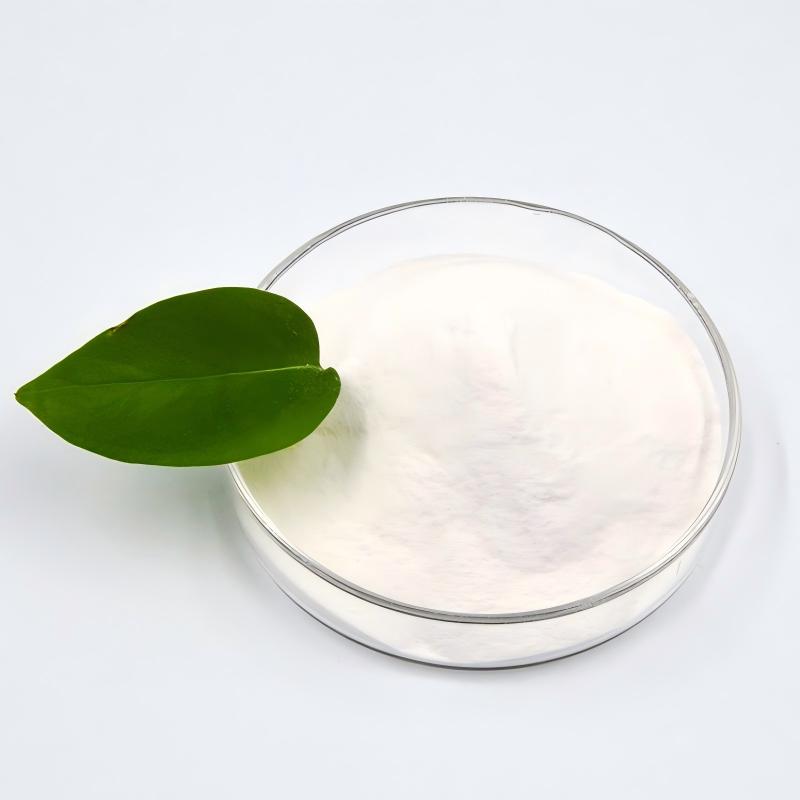 Redispersible Polymer Powder in Mortar Applications